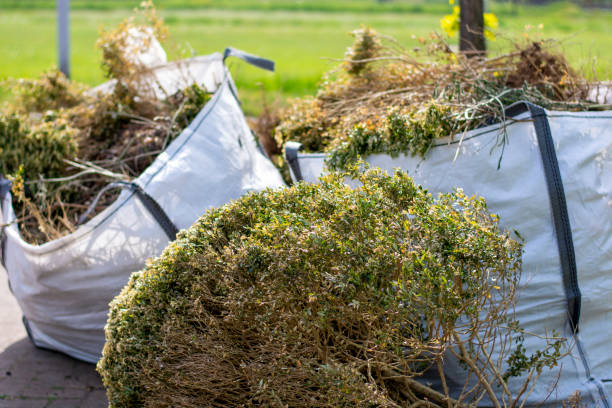 Debris Removal in Cedar City, UT